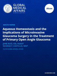 Aqueous Homeostasis and the Implications of Microinvasive Glaucoma Surgery in the Treatment of Primary Open Angle Glaucoma